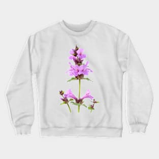 Stachys macrantha  Big Betony Crewneck Sweatshirt